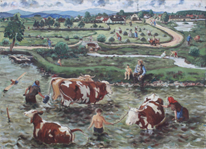 Plavení